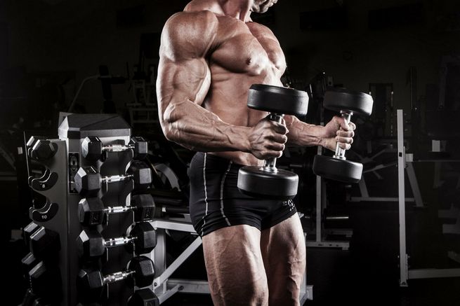 L’importance de la glutamine pour une récupération musculaire optimale